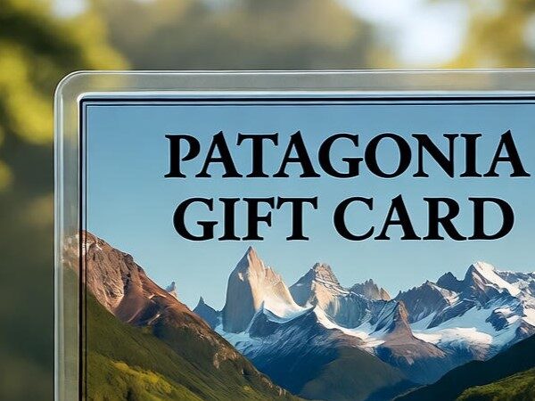 Patagonia gift card