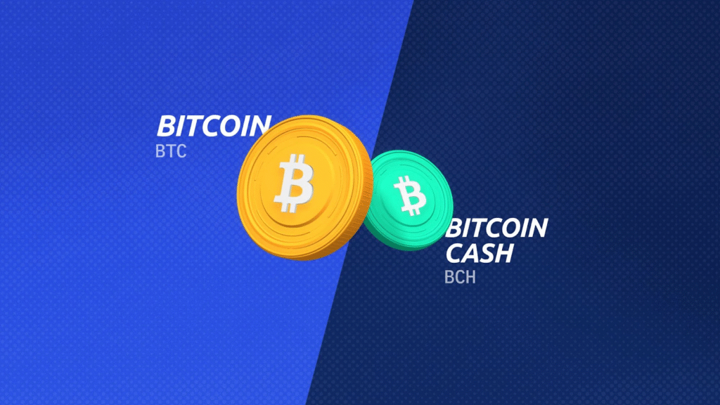 What is Bitcoin Cash