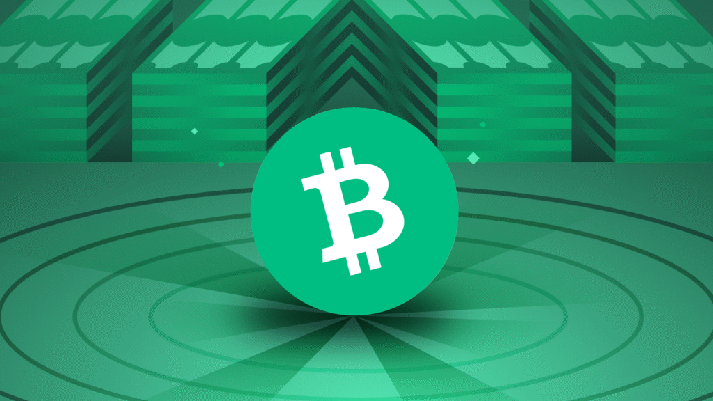 What is Bitcoin Cash