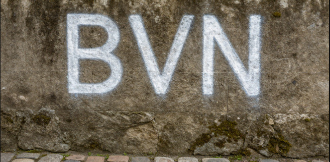 BVN check