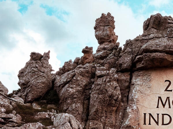 2025 Movie Industry Crisis