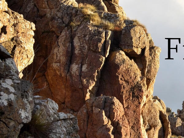 Free Streaming vs Paid