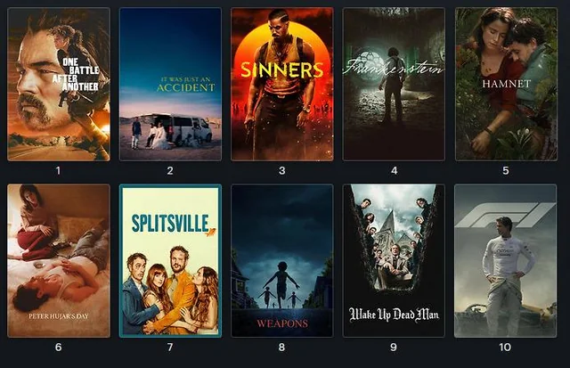 Movies You Missed in 2025