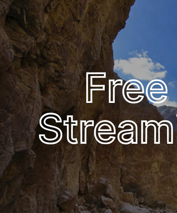 Free Movie Streaming Sites
