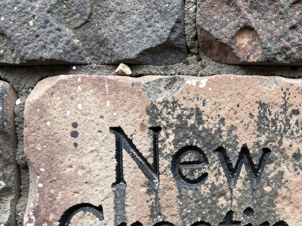 New Year Greeting Cards