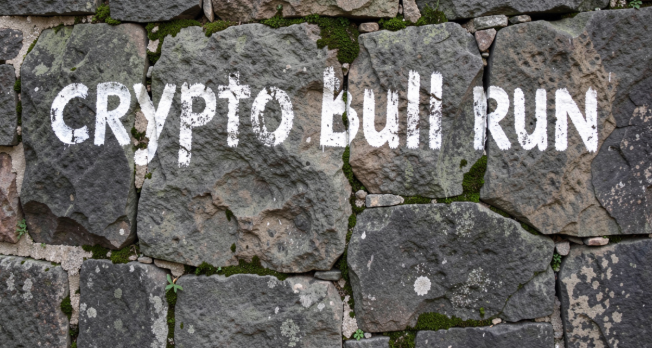 crypto bull run