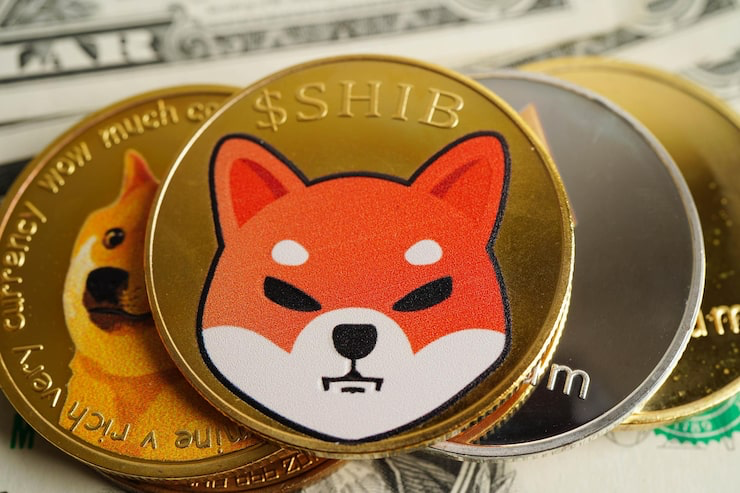 Meme coins